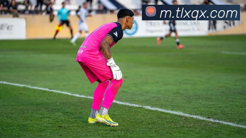 App Interface Preview